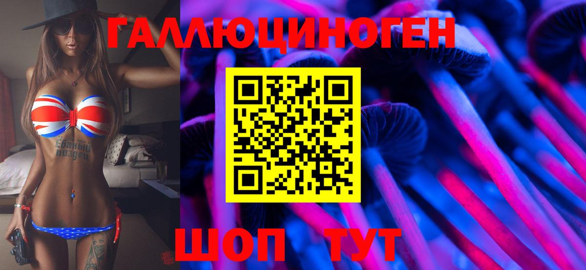Изобильный  Галлюциногенные грибы Psilocybine cubensis  Вход с VPN 